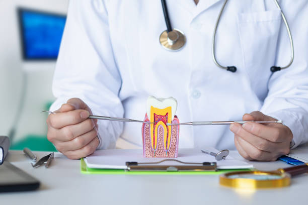 Best Broken or Cracked Tooth Emergency Dentist in Payne, OH